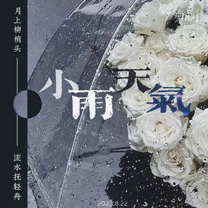 薛凯琪-小雨天气（洛幽 / 贺九 ）