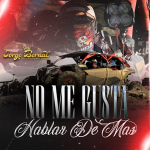 No me gusta hablar de más