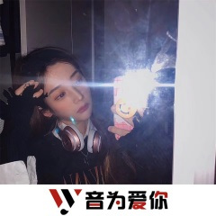 你把我伤透了 (DJ版)