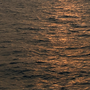 사람이 아니더라도