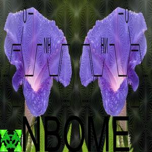 NBOME (feat. sss1eep & psyphxr)
