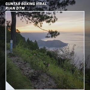 Guntar Boxing Viral