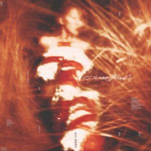 消失了，爱人（Cora）