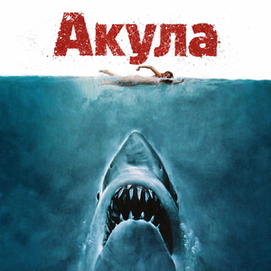 Акула
