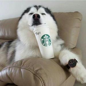 这一生关于你的风景