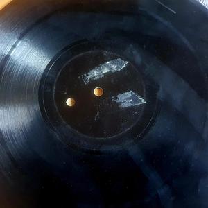 Ashamed of the Beast