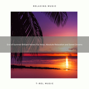 Best Noise For Maximum Relaxation, Getting Rest and Good Night