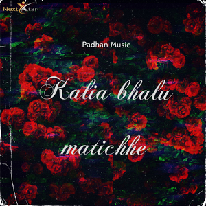 Kalia bhalu matichhe