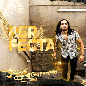Perfecta