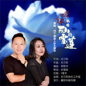 爱你就像天山的雪莲