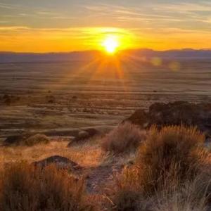 愿你今夜别离去