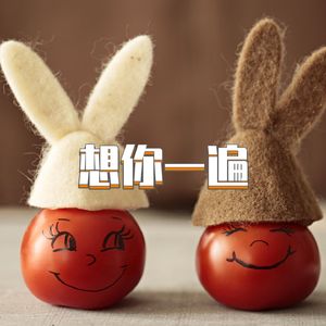 想你一遍