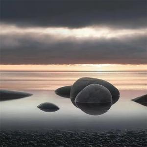 她今天吃了两碗饭