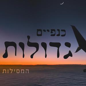 כנפיים גדולות