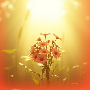 お母さんへのプレゼント