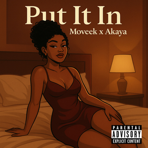 Put It In