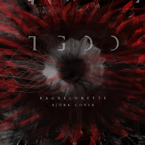 Bachelorette (Björk Cover)