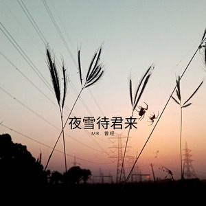 夜雪待君来