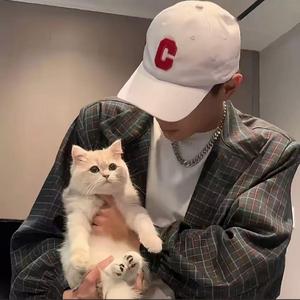 多情的生肖兔 (兔子来了）