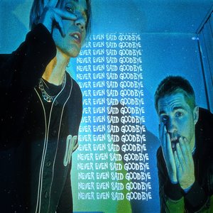 Never Even Said Goodbye