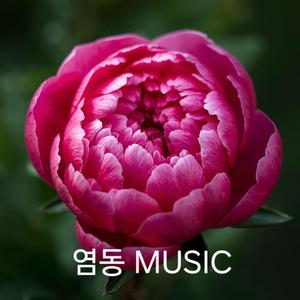 가슴은 널