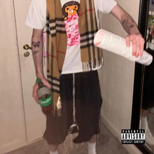 privilegerte junkies (feat. $noCat)