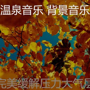 温和和平梦想