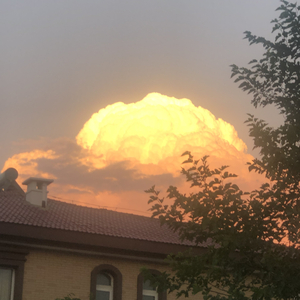 一首很没用的新歌