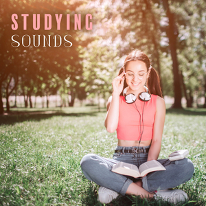 Easy Study & Do Excercises