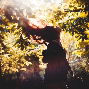 Заветный билет