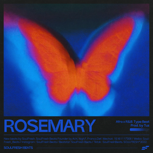 R&B x Afro Type Beat "Rosemary"