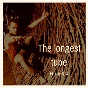 Longest Tube