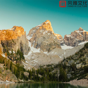 在家瑜伽 -小提琴