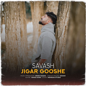Jigar Gooshe
