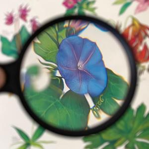 Forget About It (1000 Ways)