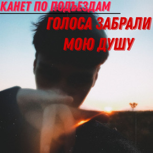 Голоса забрали мою душу