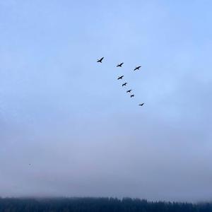 Напиши мені пісню