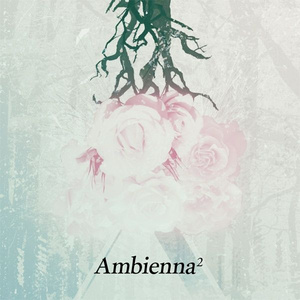 Ambienna2