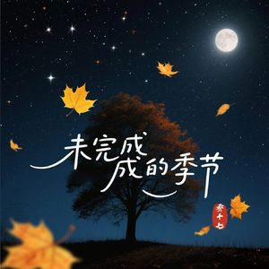 未完成的季节-乔十七