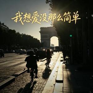 我想爱没那么简单