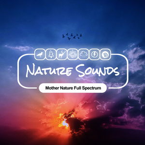 Sky Echo Thunderstorm