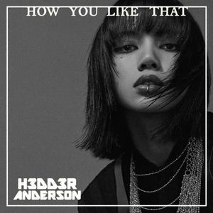 How You Like That (H3DD3R ANDERSON Remix Radio Edit)