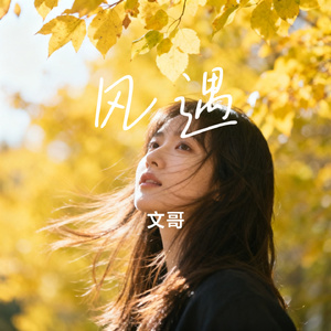 风遇