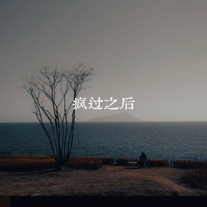疯过之后