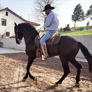 El Corrido del Roger
