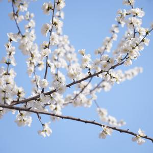 哥们惬意时光 伴奏