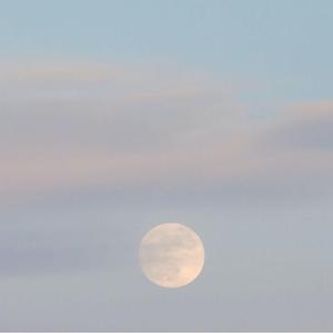 月亮代表我的心