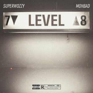 Level