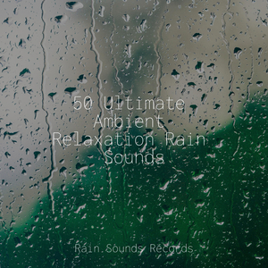 Whispers of Tranquil Rain