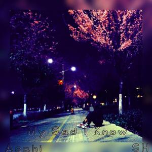 My Sad I know（SH remix）